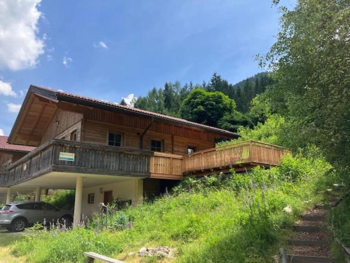 Chalet Venus Patergassen Exterior foto